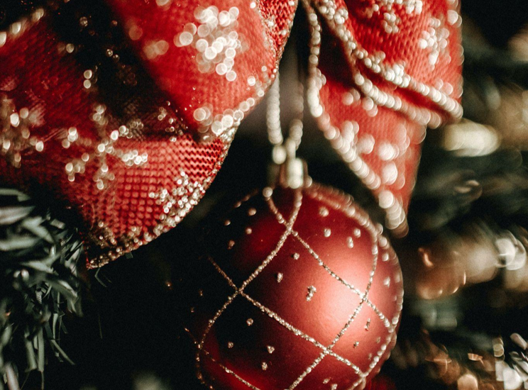 Naples' Fruit Forest this Christmas